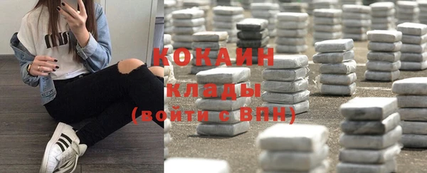 стаф Балахна