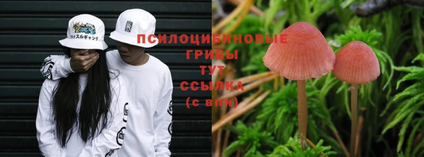 стаф Балахна