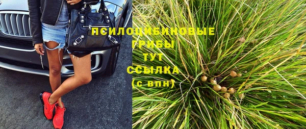 хмурый Балабаново