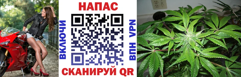 блэк спрут   Калининец  нарко площадка состав  Бошки Шишки THC 21% 